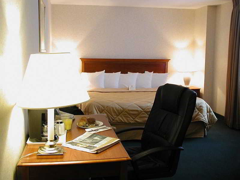 فندق تورونتوفي  فندق كمفورت أيربورت نورث الغرفة الصورة
